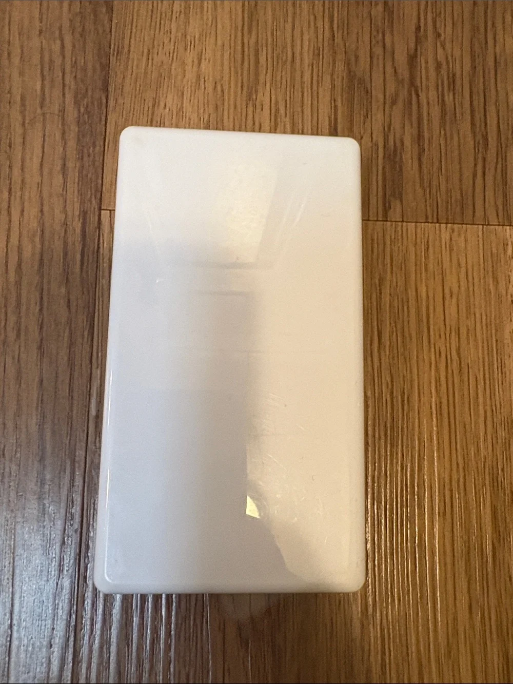 Nintendo DS Super Mario Luigi White Handheld Case